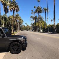 Отзыв от Ратмир - виза ДТВ